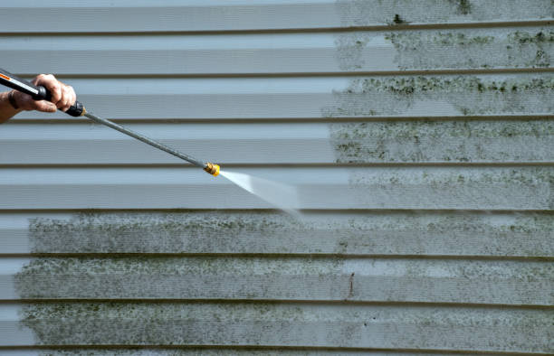 Reliable La Monte, MO Pressure washing Solutions